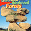 Balanced and Unbalanced Forces (Science Readers: Content and Literacy)