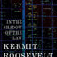 In the Shadow of the Law: A Novel
