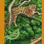 Belize Wildlife Guide - Mammals, Reptiles, Amphibians (Laminated Foldout Pocket Field Guide) (English and Spanish Edition)
