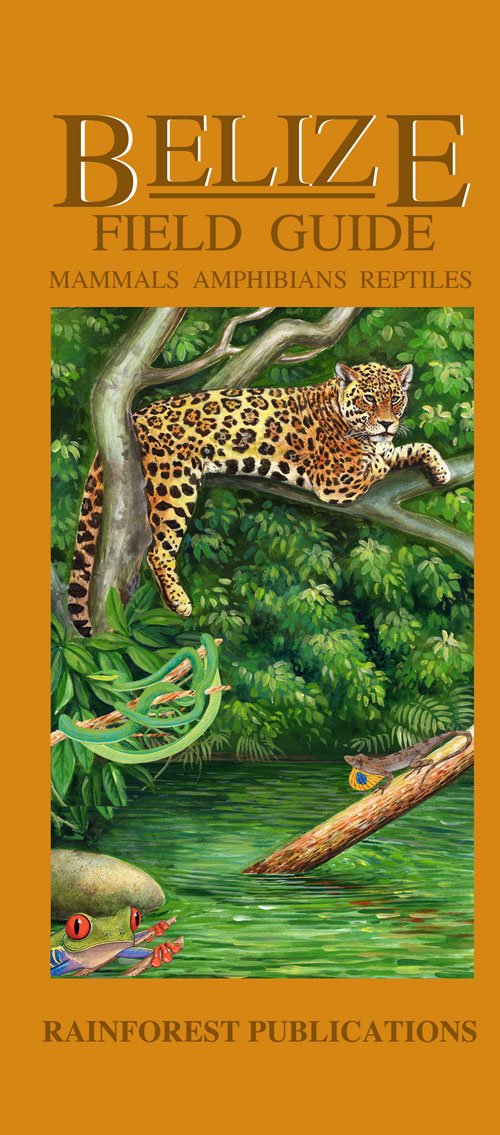 Belize Wildlife Guide - Mammals, Reptiles, Amphibians (Laminated Foldout Pocket Field Guide) (English and Spanish Edition)