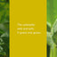 Caterpillar to Butterfly (Science for Toddlers)