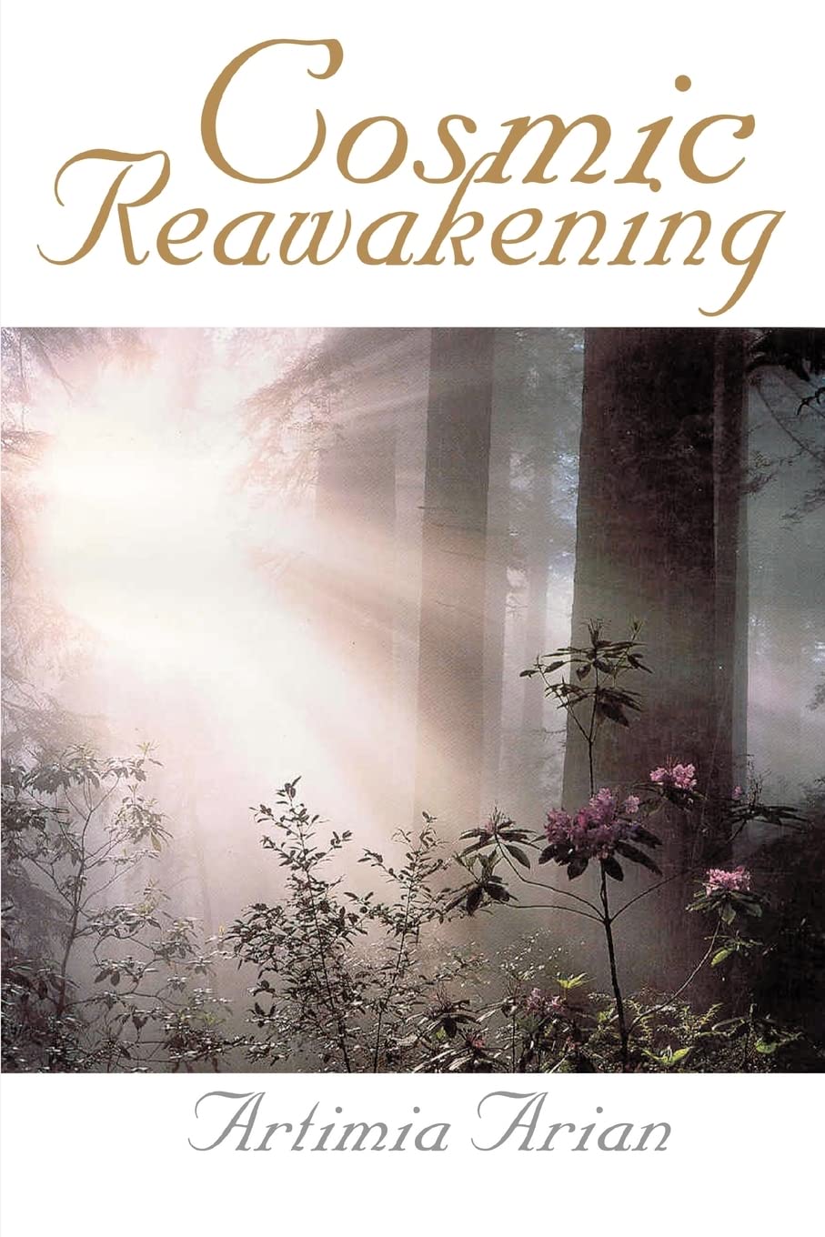 Cosmic Reawakening