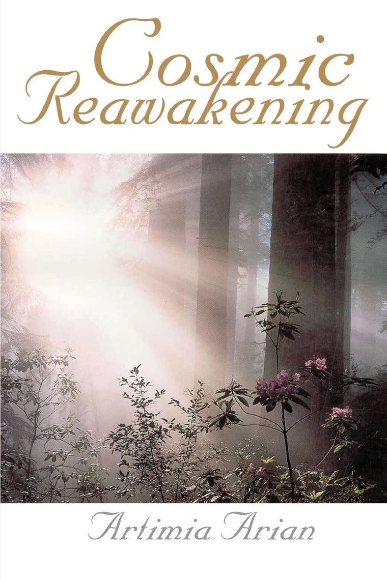 Cosmic Reawakening