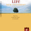 Abundant Life Bible New Testament (Softcover)