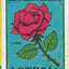 Loteria: A Novel (P.S.)