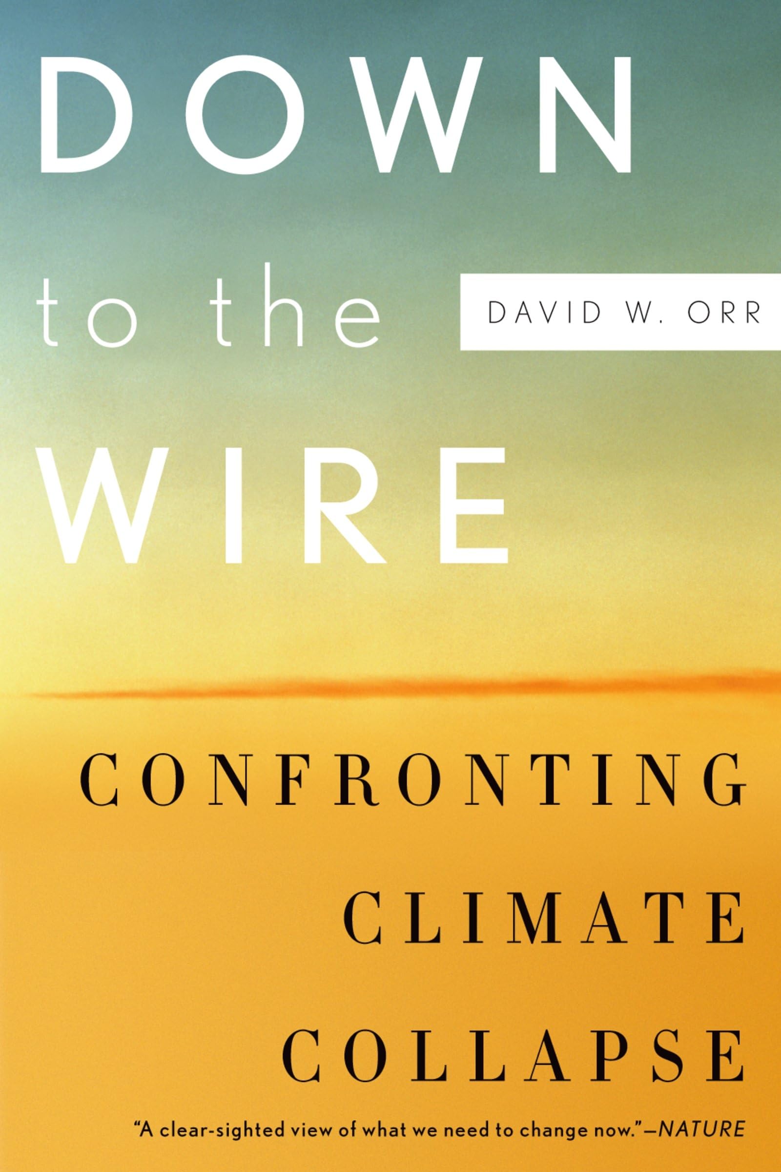 Down to the Wire: Confronting Climate Collapse