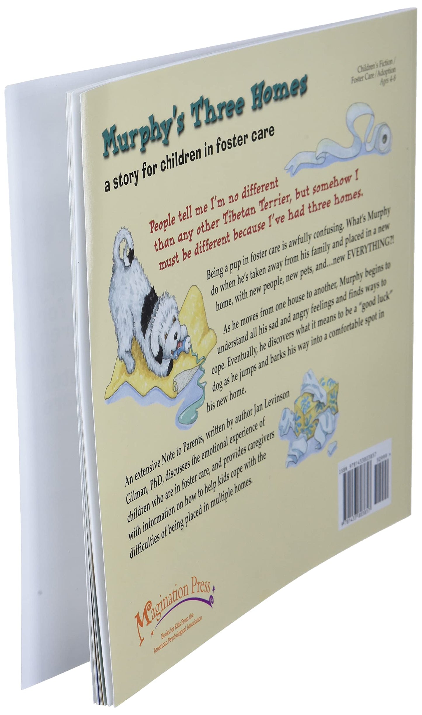 Murphy's Three Homes: A Story for Children in Foster Care