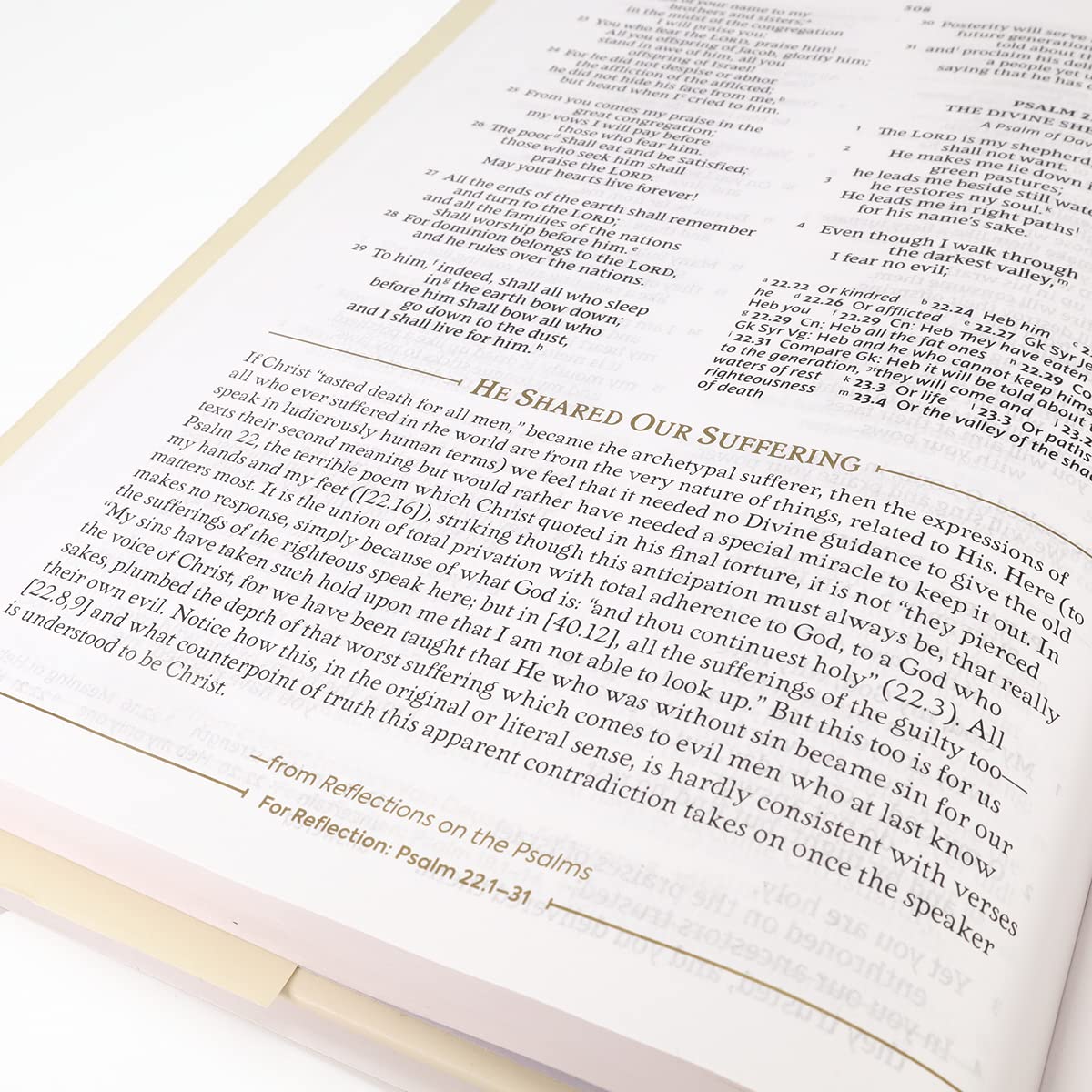 NRSV, The C. S. Lewis Bible, Hardcover, Comfort Print: For Reading, Reflection, and Inspiration
