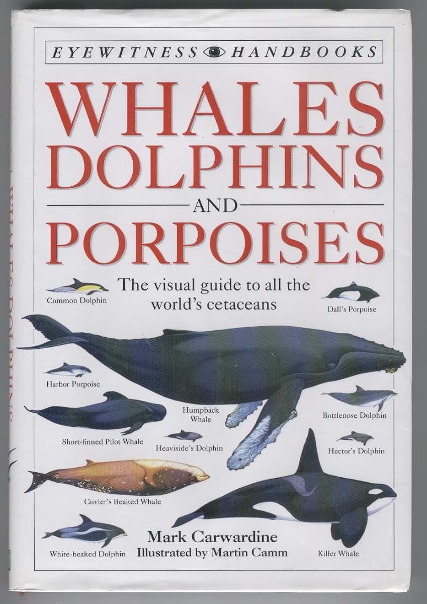 Whales Dolphins and Porpoises