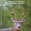 Pennsylvania Wildlife: A Folding Pocket Guide to Familiar Animals (Wildlife and Nature Identification)