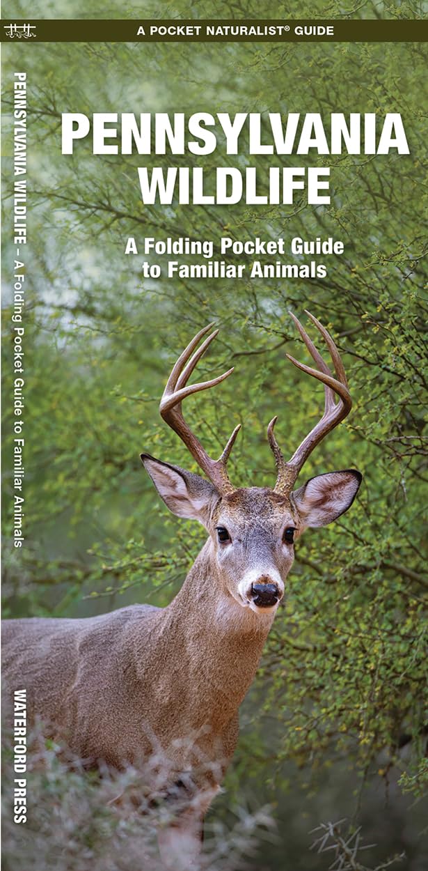 Pennsylvania Wildlife: A Folding Pocket Guide to Familiar Animals (Wildlife and Nature Identification)