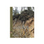 Nature and Properties of Soils, The
