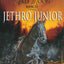 Jethro Junior (Horses of Half Moon Ranch)
