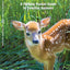 Illinois Wildlife: A Folding Pocket Guide to Familiar Animals (Wildlife and Nature Identification)