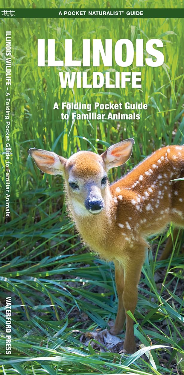 Illinois Wildlife: A Folding Pocket Guide to Familiar Animals (Wildlife and Nature Identification)