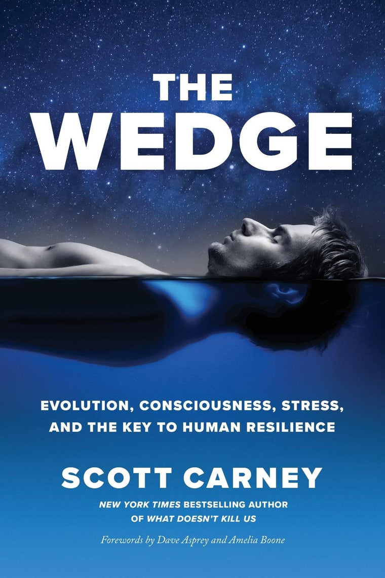 The Wedge: Evolution, Consciousness, Stress, and the Key to Human Resilience.