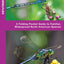 Dragonflies & Damselflies: A Folding Pocket Guide to Familiar, Widespread North American Species (Wildlife and Nature Identification)