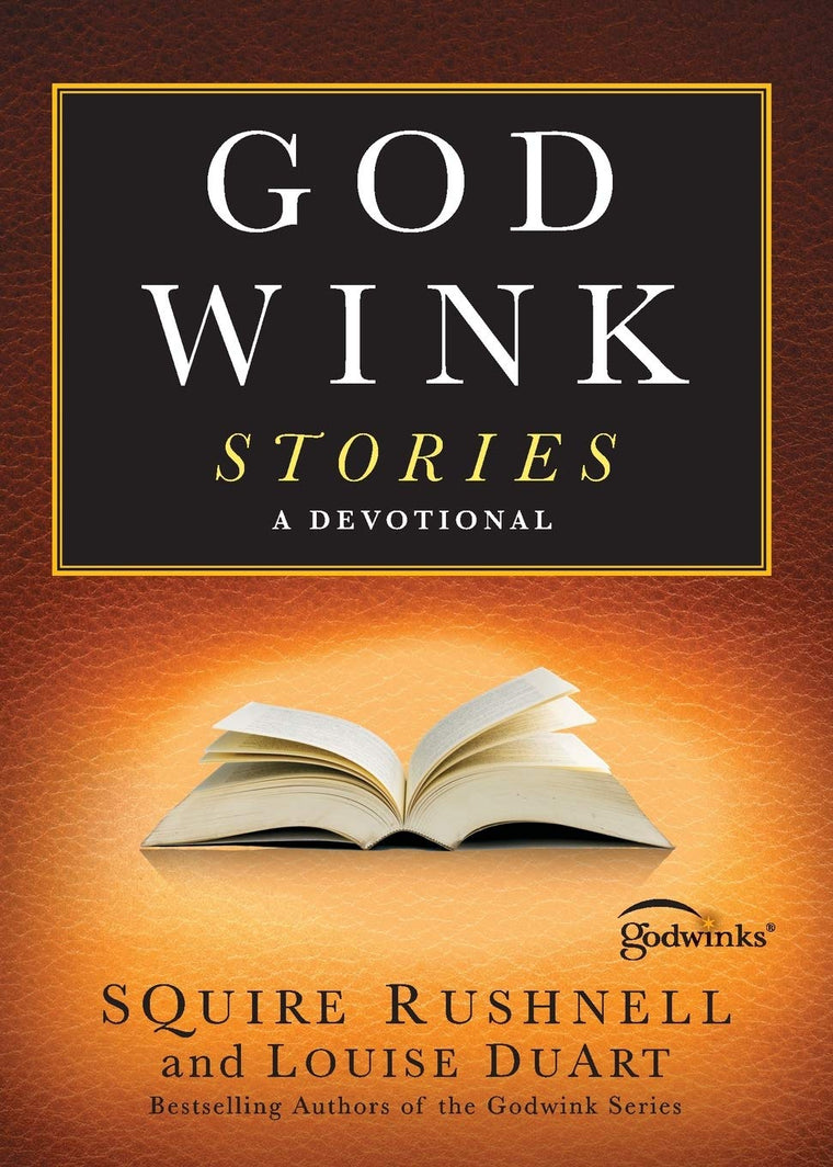 Godwink Stories: A Devotional (3) (The Godwink Series)