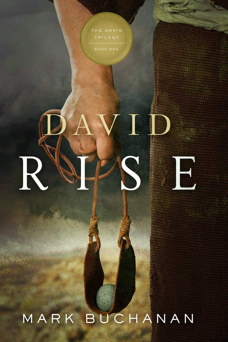 David: Rise (The David Trilogy)
