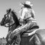 A Ranch Year: Cowboys of the West
