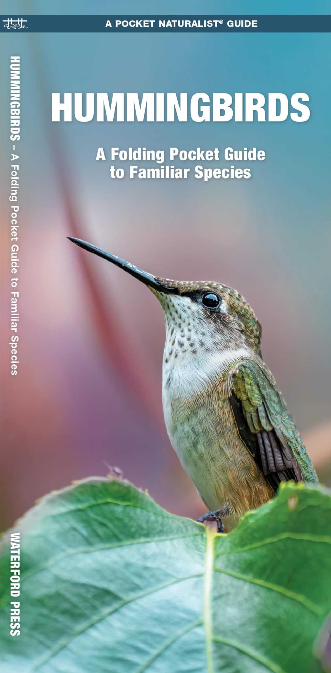 Hummingbirds, 3rd Ed: A Folding Pocket Guide to Familiar Species (Nature Observation North America)