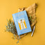 Anne Neilson's Angels Guided Journal: An Interactive Journey to Encourage, Refresh, and Inspire