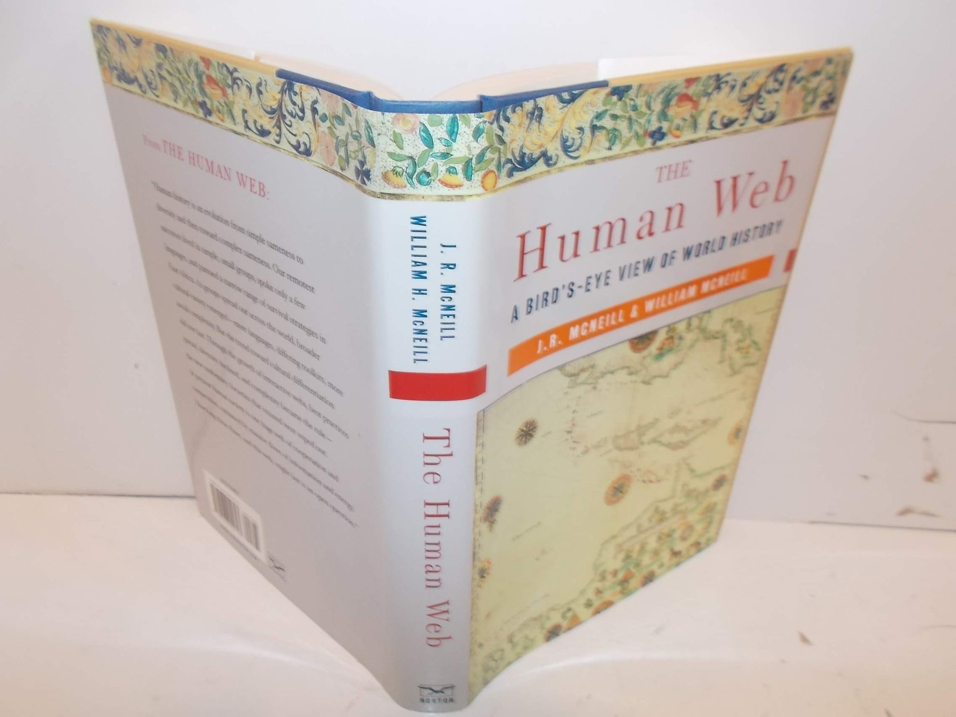 The Human Web: A Bird's-Eye View of World History