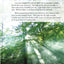 All About Light and Sound: Physical Science (Science Readers)