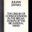 The Origin of Consciousness in the Breakdown of the Bicamera