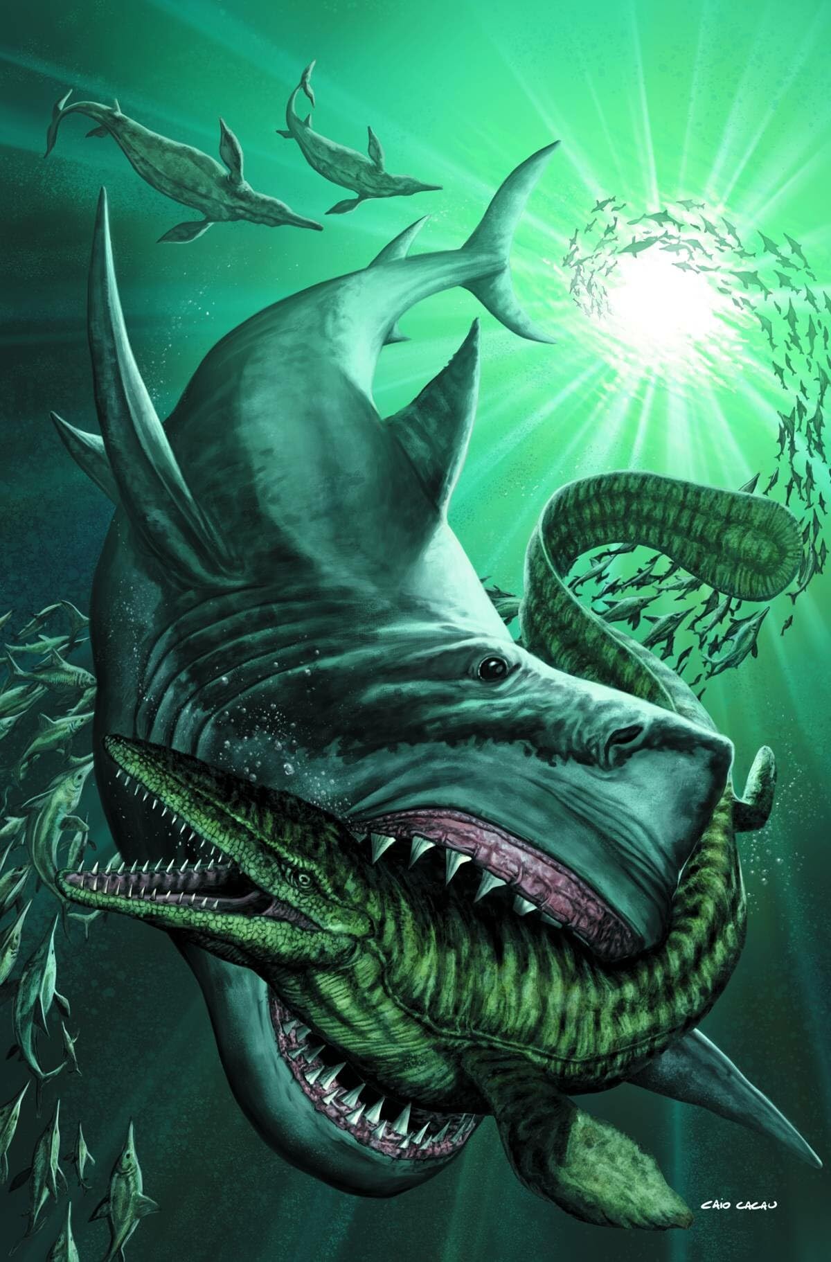 Discovery Channel's Megalodon & Prehistoric Sharks