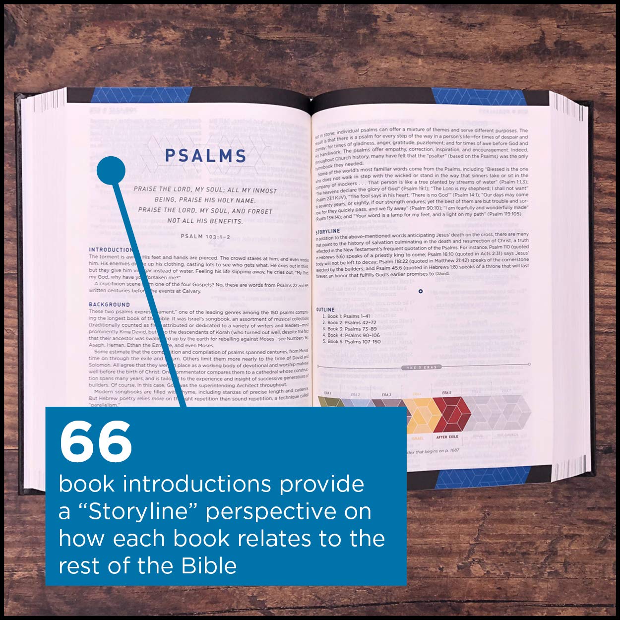 NIV, Storyline Bible, Hardcover, Comfort Print: Each Story P