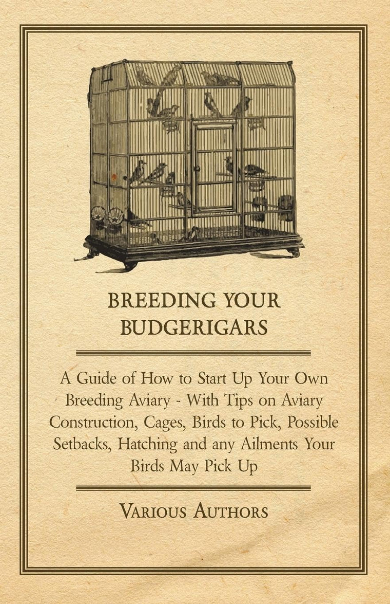 Breeding Your Budgerigars