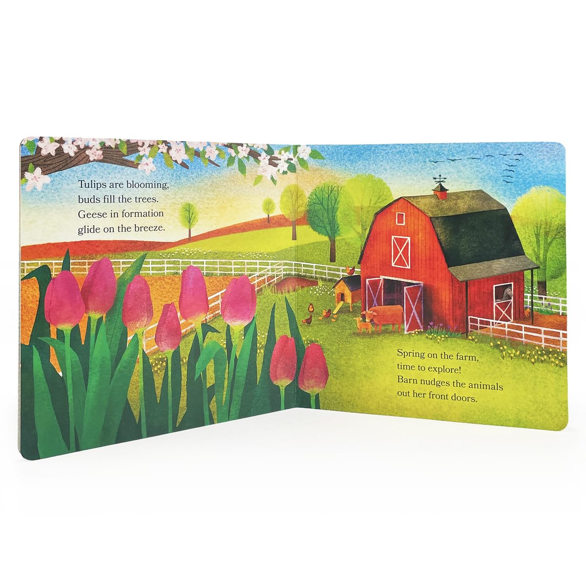 Barn in Spring: Out to Explore on the Farm - A Beautiful Story of Togetherness, Adventure and Love (Barn In Seasonal Series)