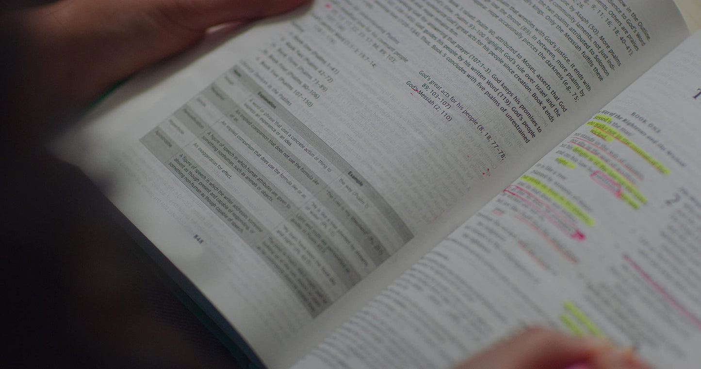ESV Teen Study Bible (Hardcover, Wellspring): Holy Bible, English Standard Version
