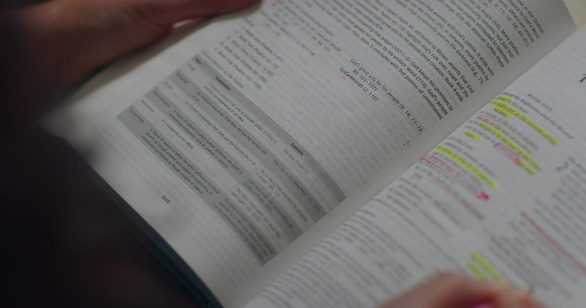 ESV Teen Study Bible (Hardcover, Wellspring): Holy Bible, English Standard Version