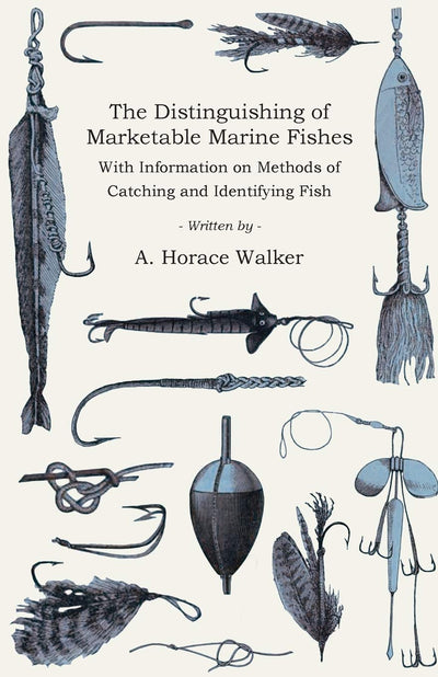 The Distinguishing of Marketable Marine Fishes - With Information on Methods of Catching and Identifying Fish