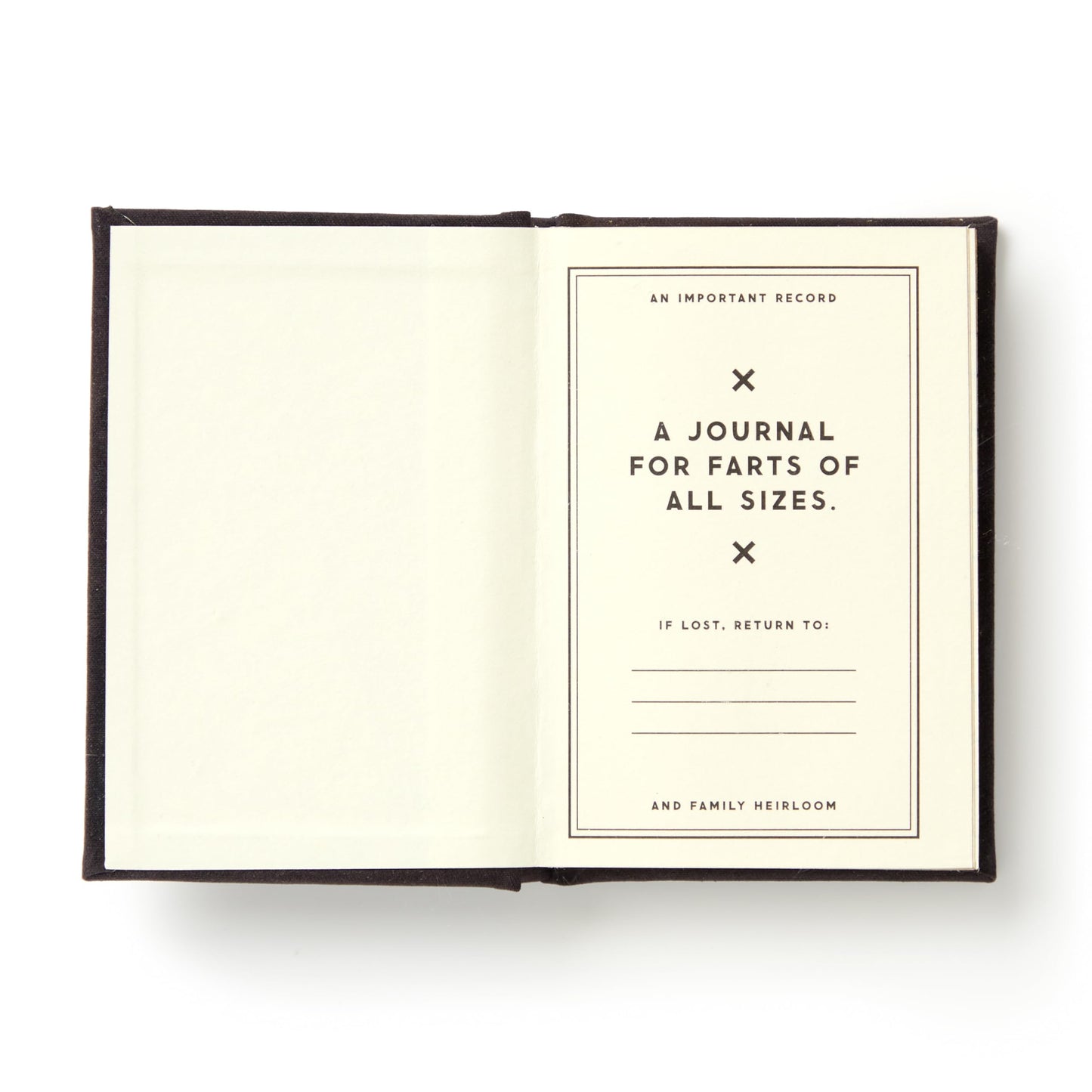 A Tiny Fart Diary (Tiny Diaries)