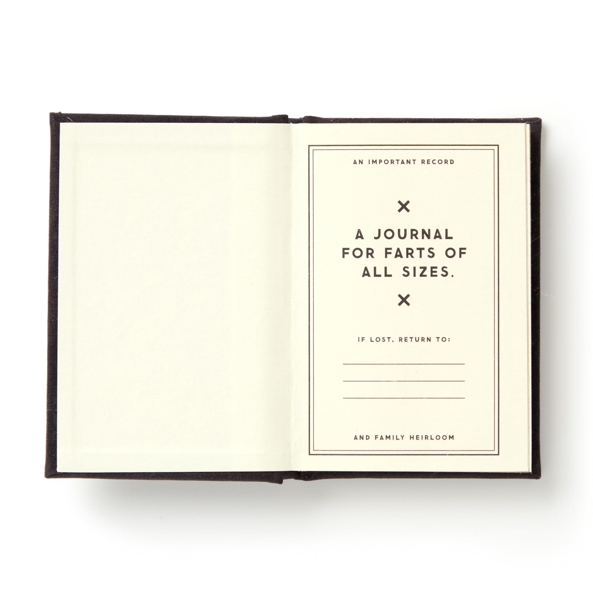 A Tiny Fart Diary (Tiny Diaries)