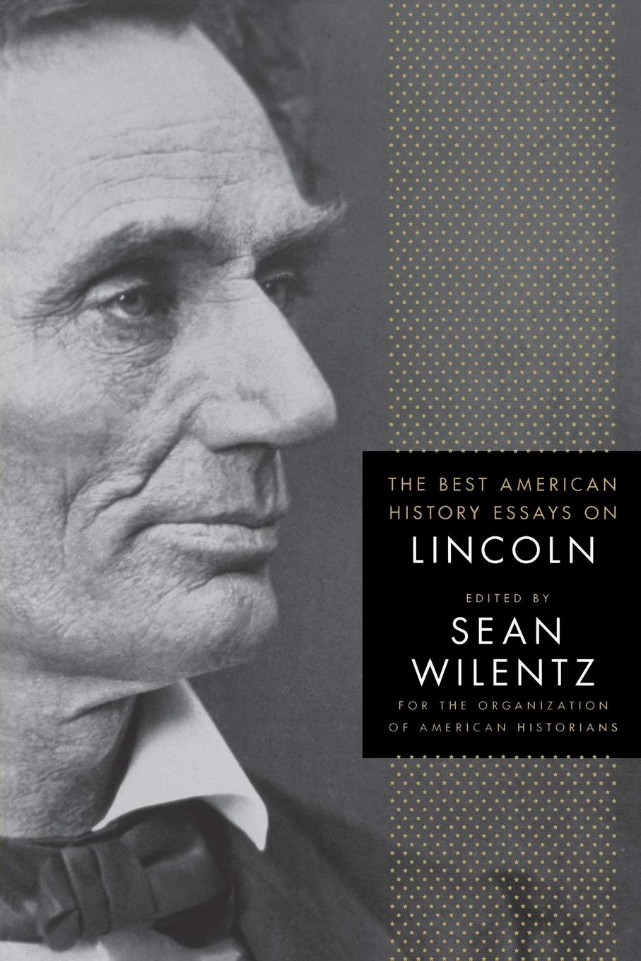 The Best American History Essays on Lincoln