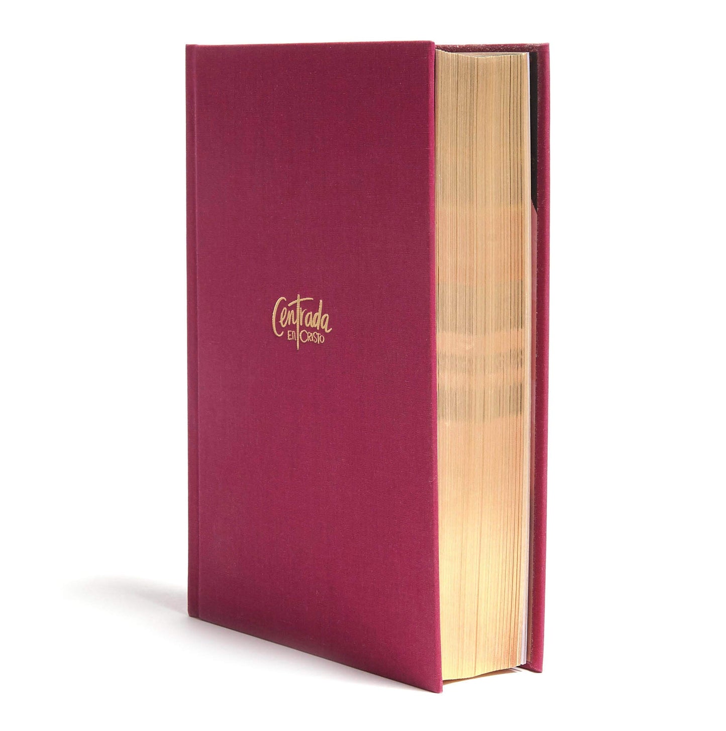 Reina Valera 1960 Biblia Devocional para Mujeres Centrada en Cristo, granada tapa  RVR1960 Centered in Christ Bible, Hardcover (Spanish Edition)
