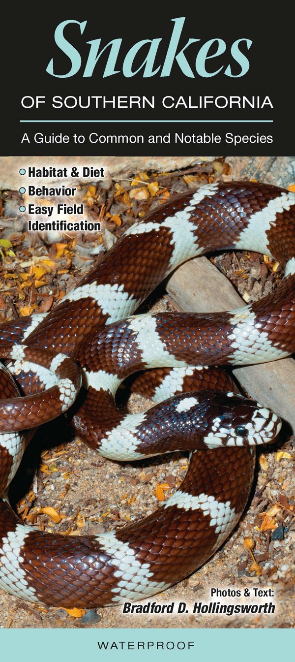 Snakes of Southern California: A Guide to Common & Notable Species