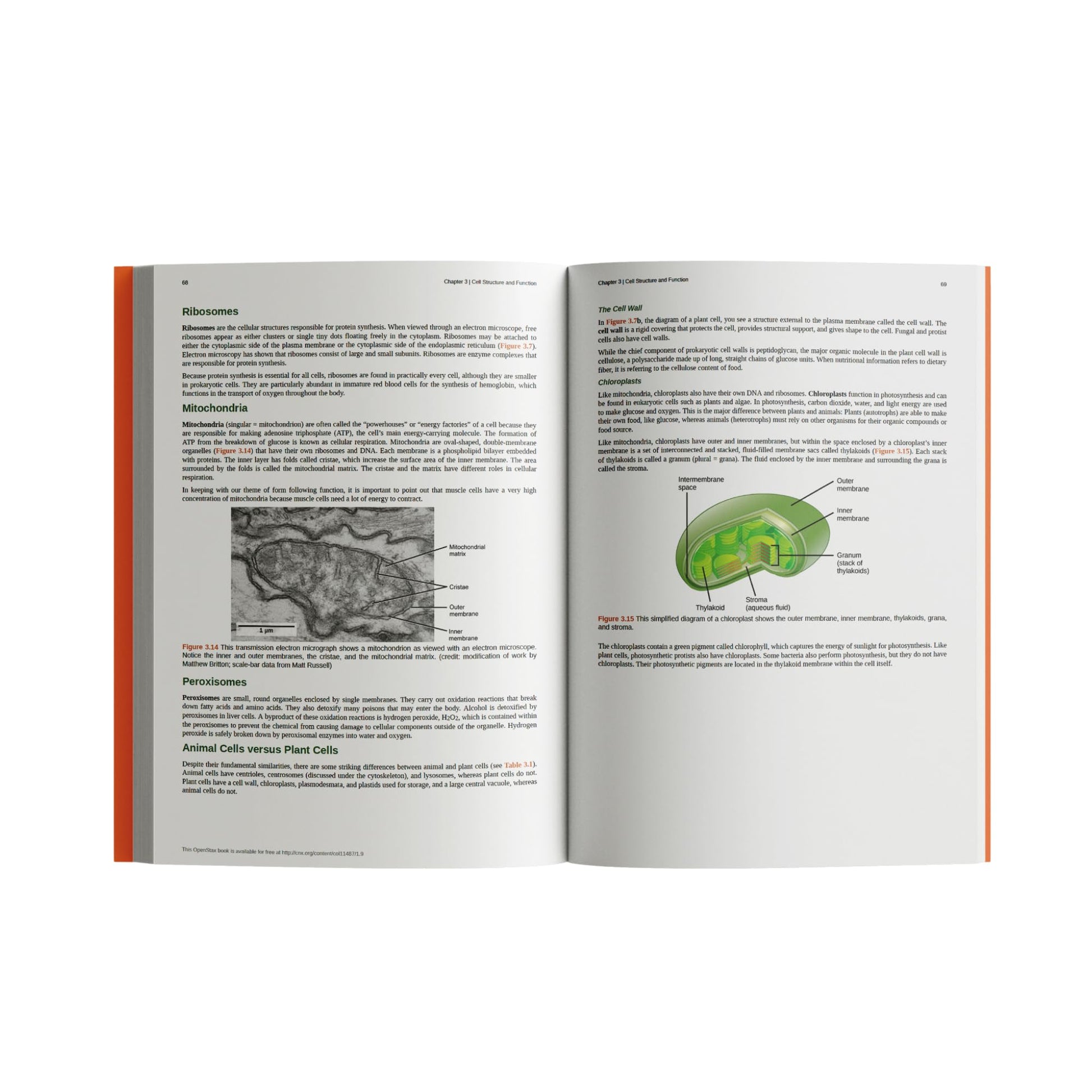 Concepts of Biology by OpenStax (Official Print Version, hardcover, full color)