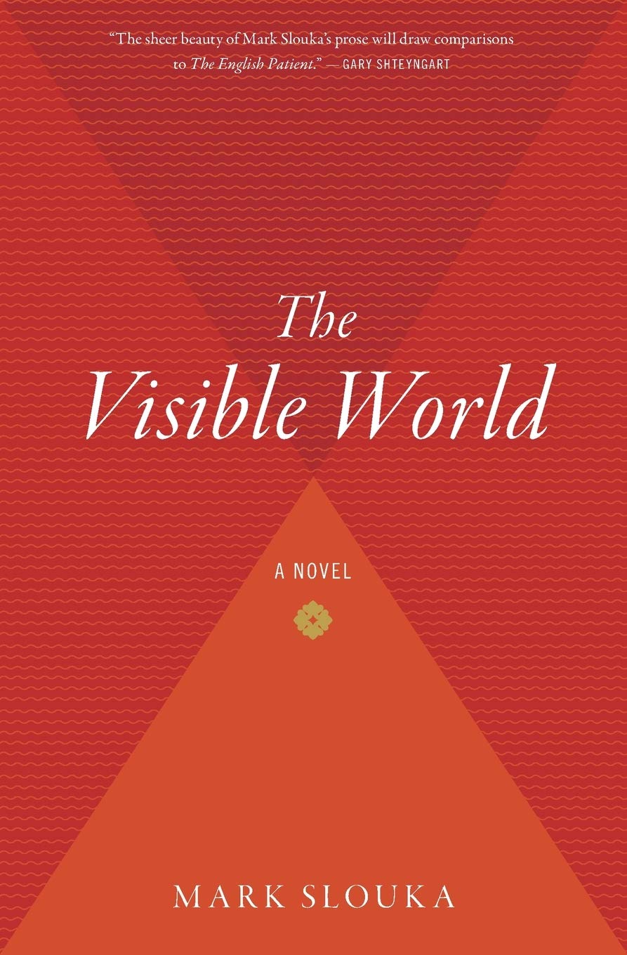 The Visible World: A Novel