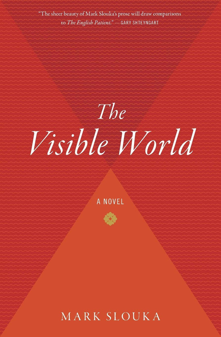 The Visible World: A Novel