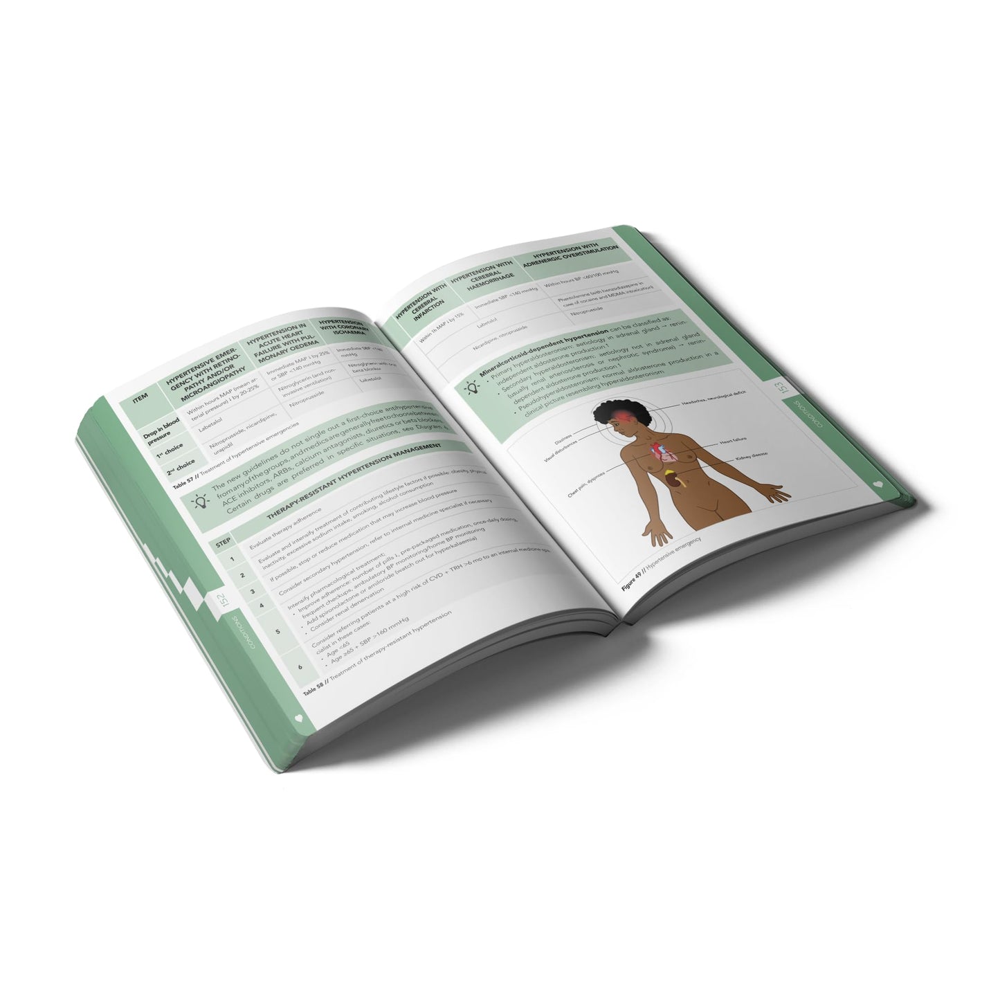 Pocket Cardiology and Vascular Medicine: An essential pocket-sized book on Cardiology and Vascular Medicine. (Compendium Medicine)