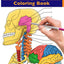 Neuroanatomy + Anatomy and Physiology Coloring Book: 2-in-1 Collection Set  Incredibly Detailed Self-Test Color workbook for Studying and Relaxation