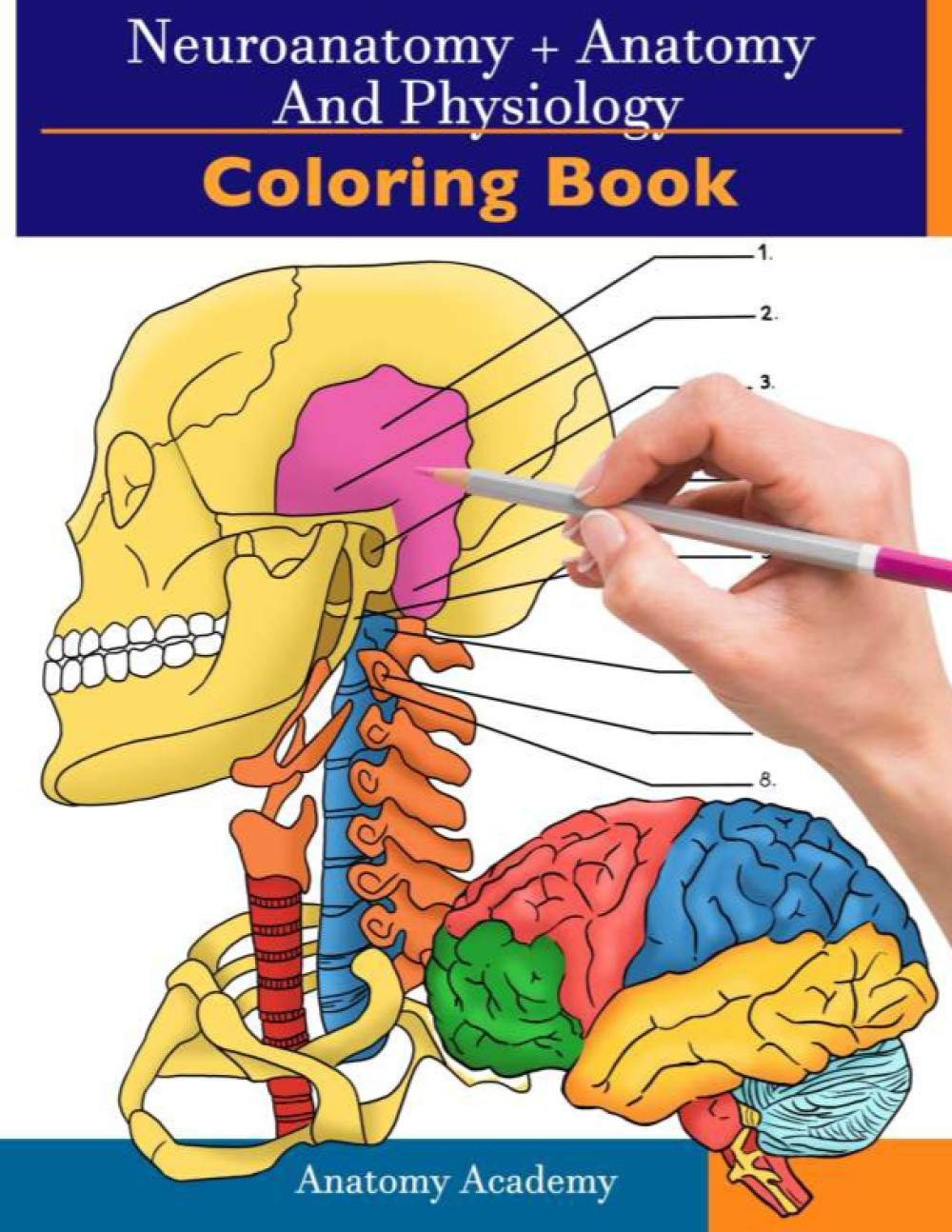 Neuroanatomy + Anatomy and Physiology Coloring Book: 2-in-1 Collection Set  Incredibly Detailed Self-Test Color workbook for Studying and Relaxation