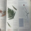 The Complete Illustrated Holistic Herbal: A Safe and Practic