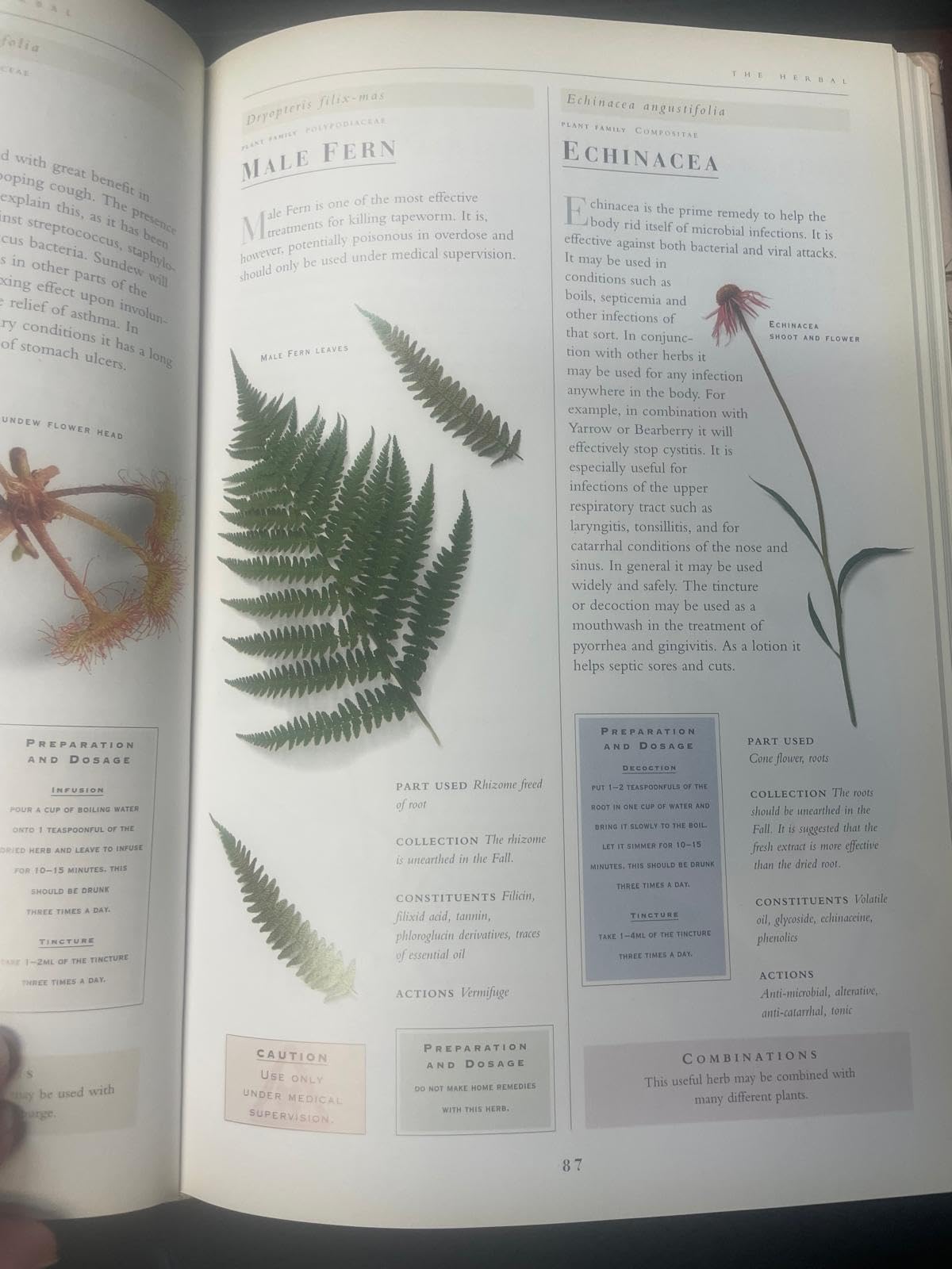 The Complete Illustrated Holistic Herbal: A Safe and Practic