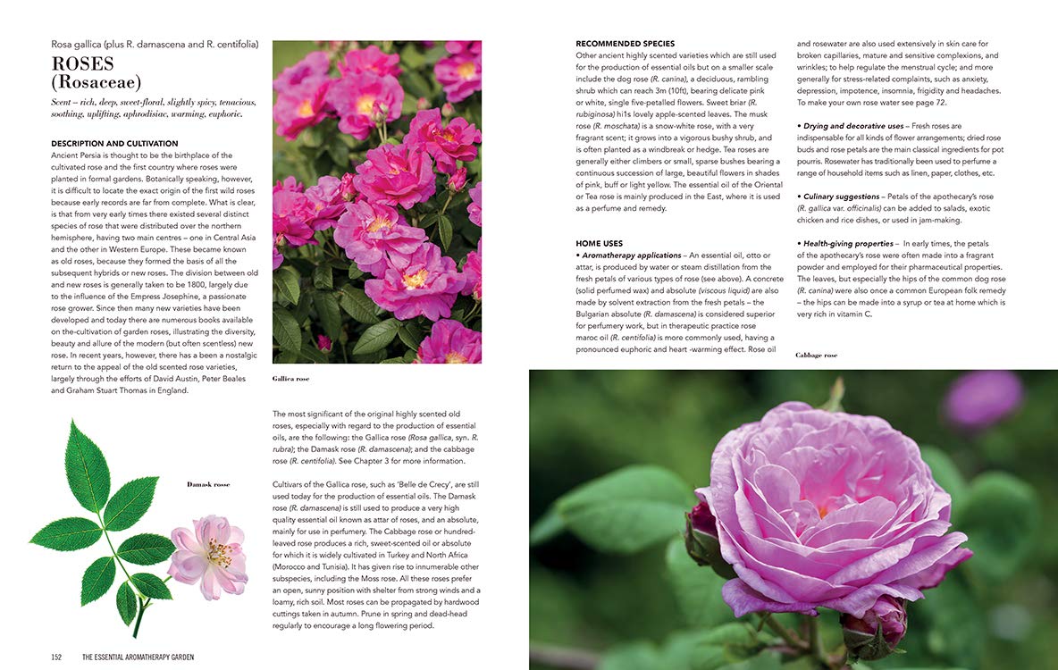 Essential Aromatherapy Garden: Growing and Using Scented Plants and Herbs